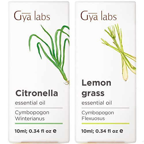 Gya Labs Citronella Essential Oil For Diffuser 0.34 Fl Oz Premium Grade Essential Oils For Diffuser Aromatherapy Hair Care Skin Care Body Massage & Diy Candle Making Scents