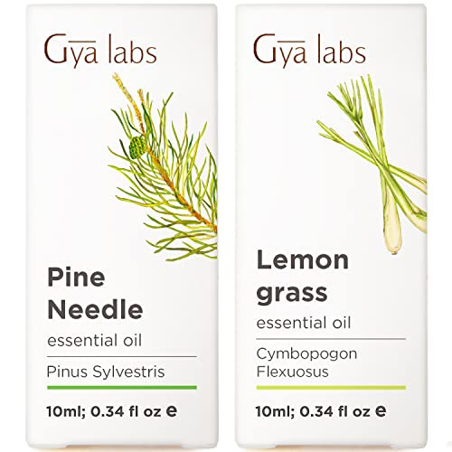 Gya Labs Pine Essential Oils For Diffuser & Lemongrass Essential Oil For Diffuser Set - Aromatherapy Grade Essential Oils Set - 2X0.34 Fl Oz - Gya Labs