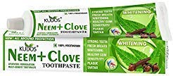 Kudos Neem Clove Toothpaste 100G