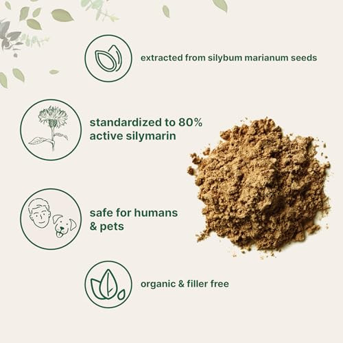 Micro Ingredients Organic Milk Thistle Tea Powder 3.5 Ounces Up To 400 Servings Premium Milk Thistle Liver Detox Supplement Contains 80 Active Silymarin Non-Gmo Vegan Friendly Eco-Friendly Recyclable Bags