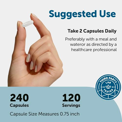 Micro Ingredients Dhea 50 Mg Per Serving 240 Capsules Micronized Dhea Supplement For Women & Men Non-Gmo Gluten Free Soy Free