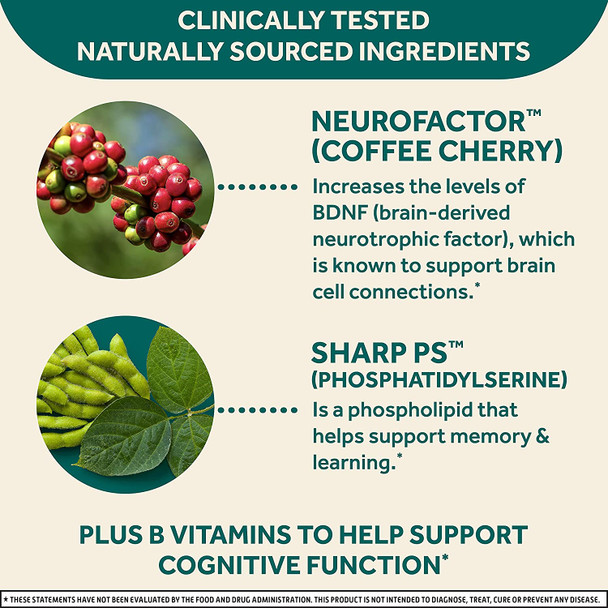 Neuriva Plus Brain Performance (30 Count), Brain Support Supplement With Clinically Proven Natural Ingredients 1 Ea (Pack Of 3)