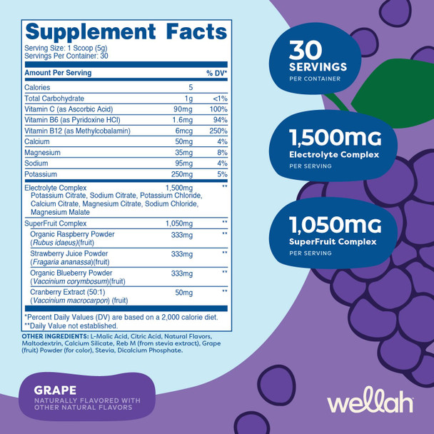 Wellah Splish Splash Hydration Electrolyte Drink Mix (Grape Flavored 30 Servings)
