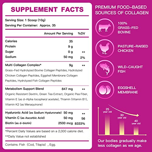 Zebora Multi Collagen Peptides Powder - Hydrolyzed Collagen Type I Ii Iii V X With Hyaluronic Acid Biotin Vitamin C - Support Skin Hair Nail Joints Non-Gmo Unflavored Keto Friendly