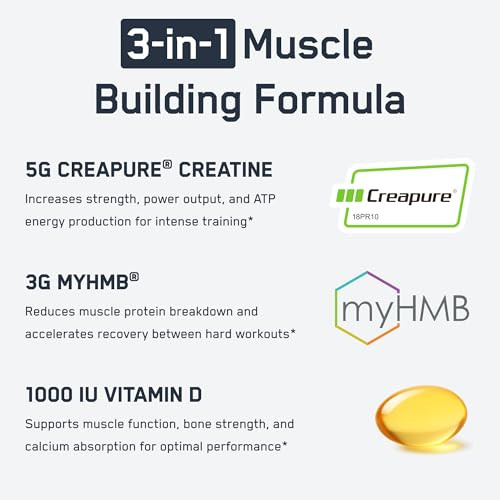 Steelfit Creatine Hmb Powder - 5G Creapure Creatine Monohydrate Powder 3G Myhmb & 1000 Iu Vitamin D - Workout Supplement Supports Muscle Growth Strength Recovery & Energy - Unflavored 30 Servings