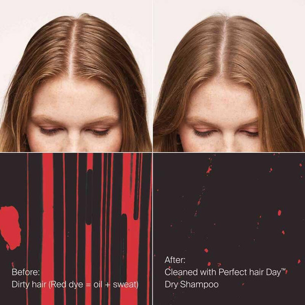Living Proof Hydrated Hair Essentials Kit - Includes Travel Size Perfect Hair Day Shampoo Conditioner 5-In-1 Styling And Dry Shampoo ($74 Value)