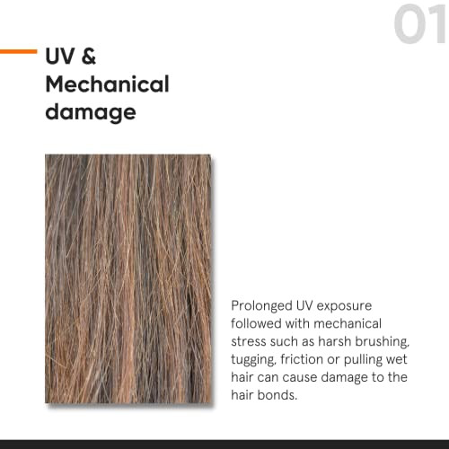Minimalist Hair Serum For Strengthening & Repairing Damaged Hair | Patent Pending Formula | Maleic Bond Repair Complex 05% | With Amino Acids Argan Oil & Squalane | For Women & Men | 1.7 Fl Oz/ 50 Ml