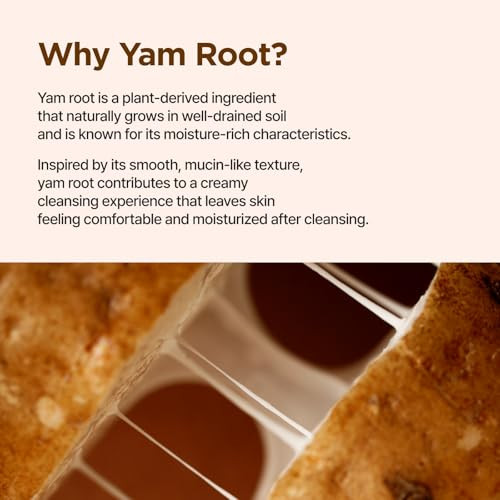 Isntree Yam Root Vegan Milk Cleanser | Korean Facial Cleanser With Yam Root | Hydrating Milky Cleanser For Sensitive Skin Gentle & Creamy 7.43 Fl Oz
