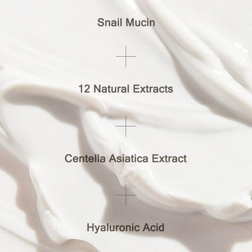 Mizon Bundle All In One Snail Face Moisturizer + Snail Eye Cream Korean Skincare With Snail Mucin