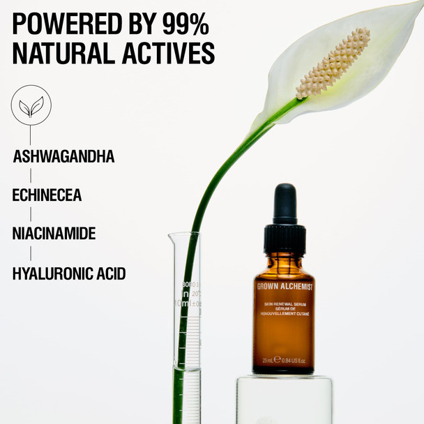Grown Alchemist Skin Renewal Anti Aging Serum. With Ashwagandha Niacinamide & Hyaluronic Acid. Hydrating Firming For Dark Spots & Wrinkles (25Ml)