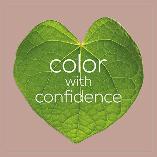 Naturtint 8C Copper Blonde Hair Color 5.75 Fz