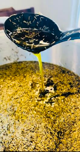 Goodygoody Oil Homemade Organic Rosemary & Clove Hair Growth Oil Jamaican Extra
