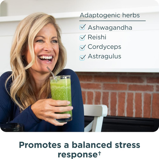 Ancient Nutrition Super Greens Powder Organic Superfood Powder With Probiotics Made With 25 Servings 705Oz