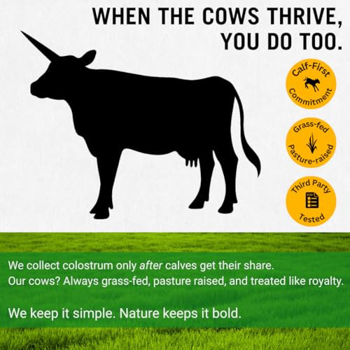 Bold Belly Colostrum Powder Supplement 53 Oz