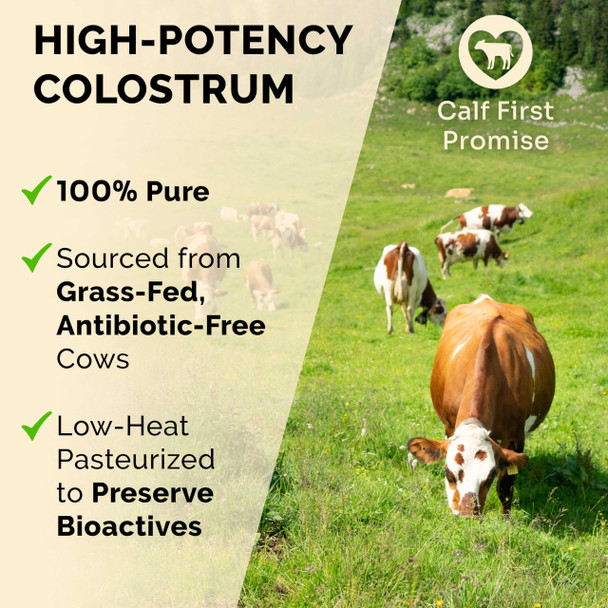 Schiffer Health Premium Colostrum Supplement Highest Igg For Gut Health Immune Support 60 Servings
