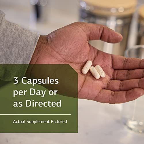 Standard Process Inc Prosynbiotic 90 Capsules