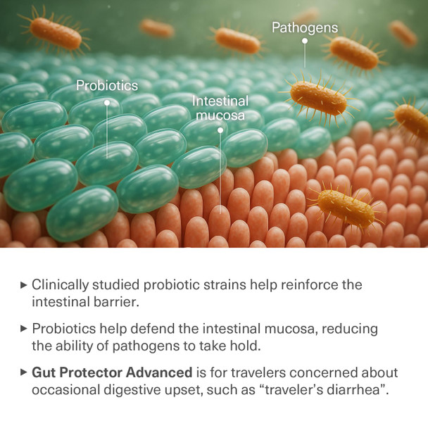 Travelsana Travel Probiotics For Digestive Health Immune Support & Occasional Traveler's