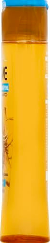 L'oreal Paris Extraordinary Oil Nourishing Shampoo 12.6 Oz
