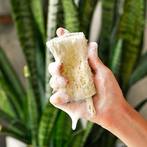 Superbee Wax Wraps Superbee Natural Kitchen Sponges - Plant-Based Biodegradable Loofah Dish Sponge - Eco-Friendly Zero-Odor Cleaning Dirty Dishes Pots And Pans Cleaning - Plastic- Sponge 10 Pack