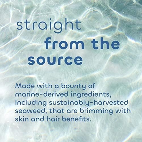 Seaweed Bath Co. Melt-In Water Lotion Scent 4 Ounce Sustainably Harvested Seaweed Sea Grape Beta Glucan