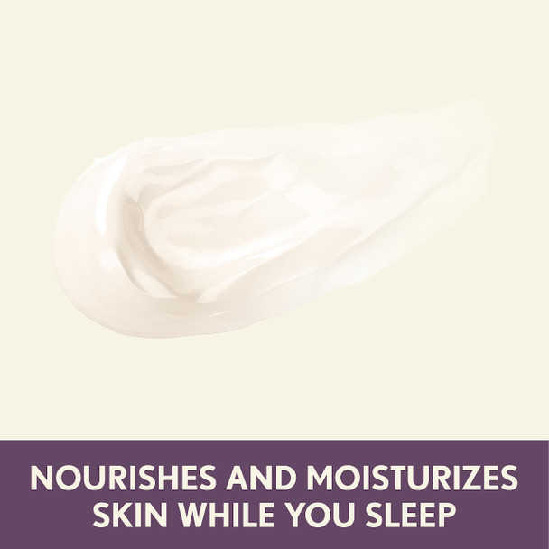 Aveeno Absolutely Ageless Restorative Night Cream Face and Neck Moisturizer With AntioxidantRich 1.7 Fl. Oz