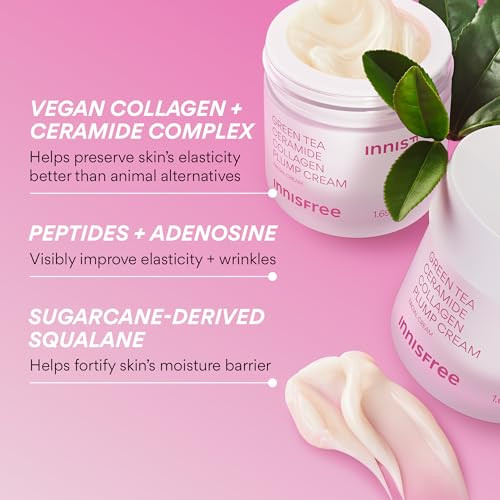 Innisfree Green Tea Ceramide Plump Cream Korean AntiAging Face Moisturizer With Niacinamide