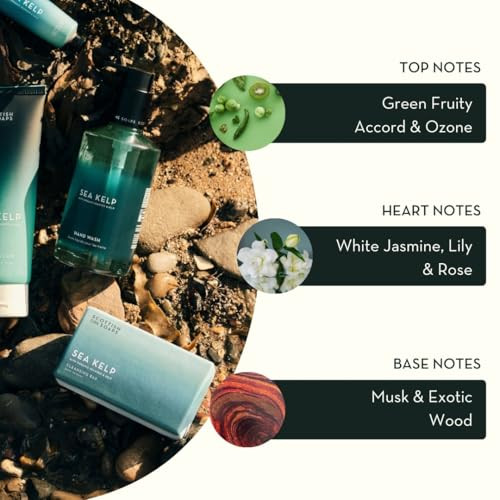 Scottish Fine Soaps Sea Kelp Body Cream With Organic Seaweed Marine Spa Scent Fresh 200Ml