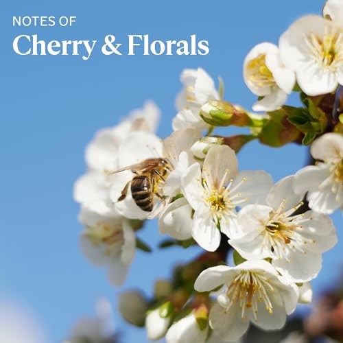 LOccitane Cherry Blossom Shimmering Lotion 16.90 Fl Oz