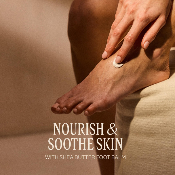 LOccitane Shea Butter Intensive Foot Balm With 25% Shea Butter And Allantoin 5.2 Fl Oz