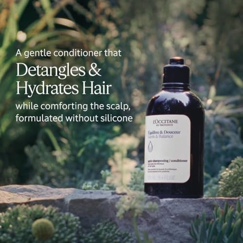 LOccitane Gentle and Balance Conditioner 2.50 Fl Oz