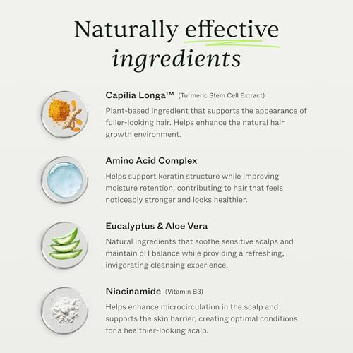 Scandinavian Biolabs BioPilixin Shampoo For Men Strengthens Hair Helps Greasiness Balances Scalp Eucalyptus 250 Ml
