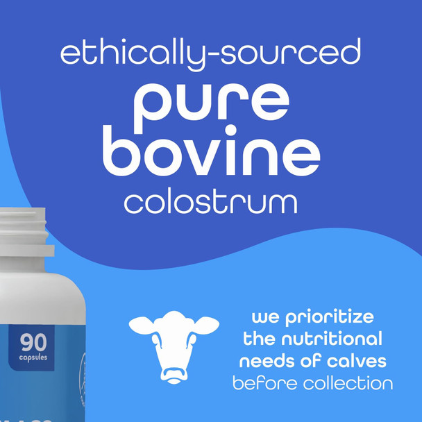 Zena Nutrition Pure Colostrum Capsules 1500mg Supplement Grass Fed Bovine Colostrum Supports Immune and Digestive Health Promotes Gut Health Gluten Free Fat Free 1 Month Supply 90 Capsules