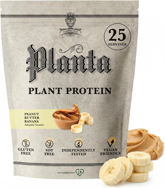 Ambrosia Plant Based Protein Powder 20g | Clean Vegan Pea Protein Powder | Gluten & Dairy Free, Keto Friendly, No Added Sugar | 25 Servings