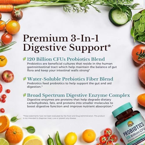 VITALITOWN Probiotics 120 Billion CFUs  36 Strains with Prebiotics & Digestive Enzymes for Men Women Shelf Stable  Digestive Health and  Immune Support  Vegan  Non-GMO
