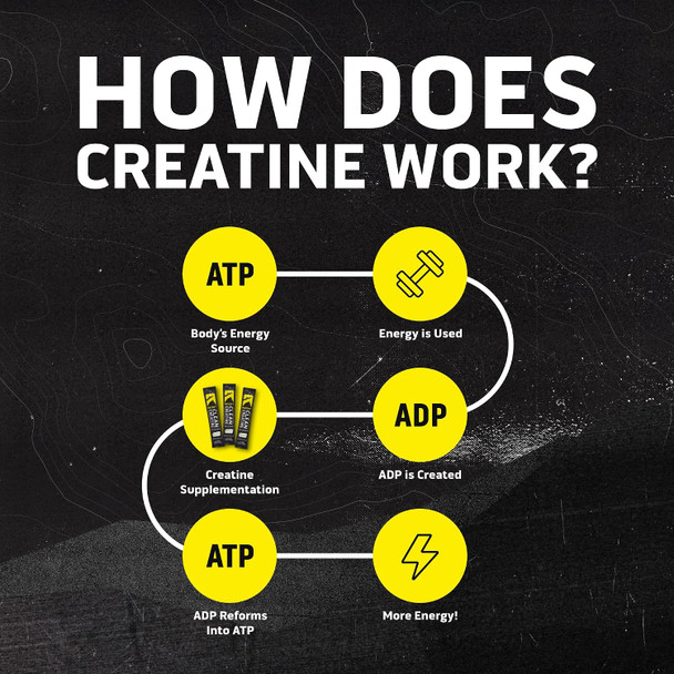 Ascent Clean Creatine Monohydrate, Creapure, Unflavored - 45 Servings