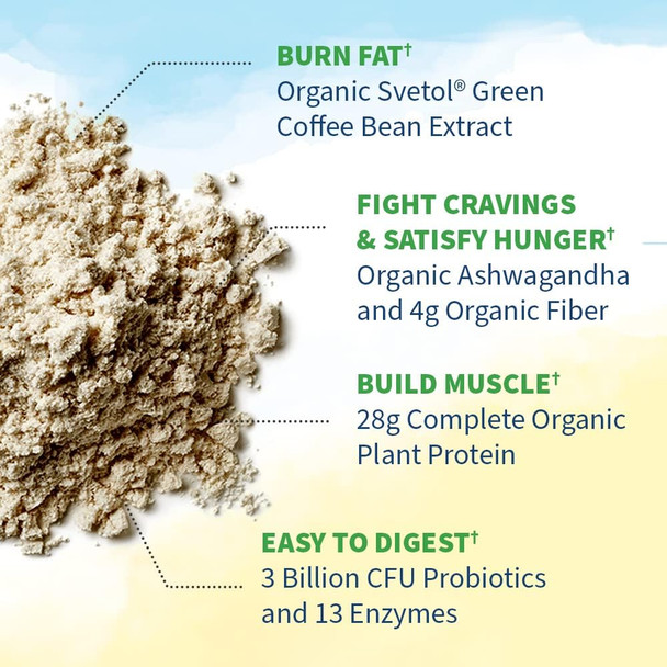 Garden of Life Raw Organic Fit Vegan Protein Powder, Original, 10 Servings | 28g Plant Based Powder for Weight Management, Raw Protein, Probiotics & Fiber, Non-GMO, Gluten-Free, Vegan
