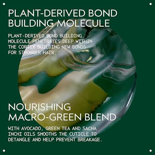 Aveda Botanical Repair Intensive Strengthening Masque Rich Bond-Building Mask for Stronger Hair Deep Conditioner Detangles Softens Medium to Thick Hair