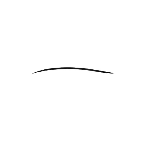 Kiko Milano Micro Tip Eyelinerlonglasting Eyeliner With A Fine Tip