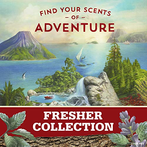 Old Spice Antiperspirant Deodorant For Men Timber With Sandalwood Inspired By Natural Elements Invisible Solid 2.6 Oz Pack Of 12