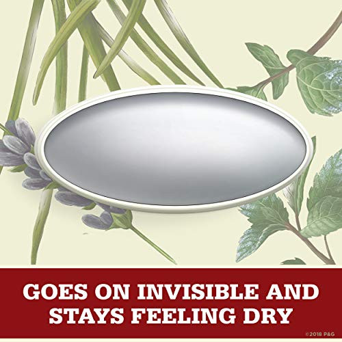 Old Spice Antiperspirant Deodorant For Men Wilderness With Lavender Inspired By Nature Invisible Solid 2.6 Ounce Pack Of 12