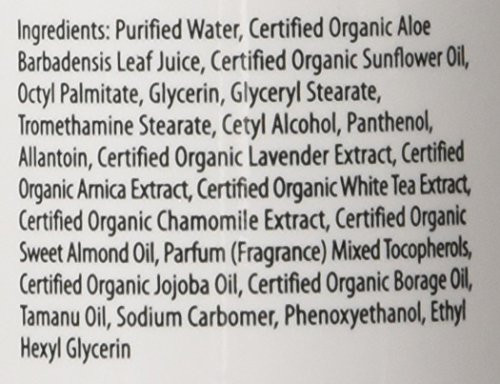 Primal Elements Body Lotion Moisturizing Shea Butter Cream For Hands And Body Cupcake 8 Oz