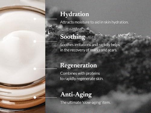 Mizon Bundle All In One Snail Face Moisturizer plus Snail Eye Cream Korean Skincare With Snail Mucin