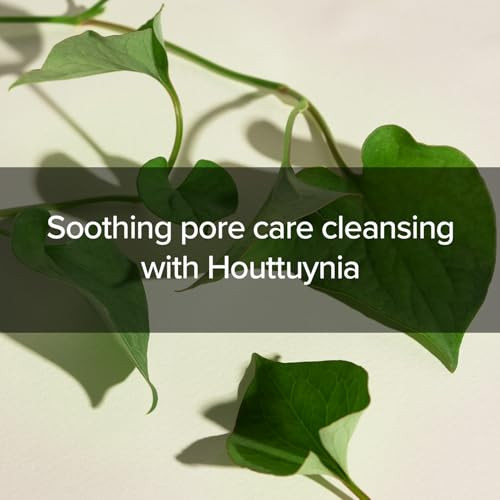 MaryandMay Maryandmay Heartleaf plus Tea Tree Deep Clean Foam Cleanser korean Rich Cream Foam Cleanser With 40.7% Houttuynia Cordata Heartleaf And 6.8% Tea Tree For Oily Blemishprone Skin 5.07 Fl Oz