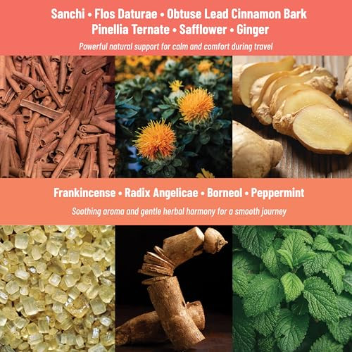 Tolevita Motion Sickness Patches 36 Pcsherbal Essential Oil Patch With Ginger Peppermint And Sanchitravel With Comfort Easytouse And Discreet