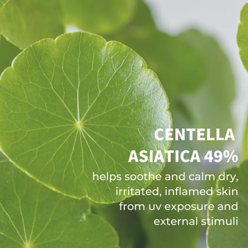 Iunik Centella Calming Moisture Daily Sunscreen Spf 50plus Paplusplusplusplus Matte And No White Cast Centella Asiatica Dry Oily Sensitive Vegan Korean Skincare Pack Of 2