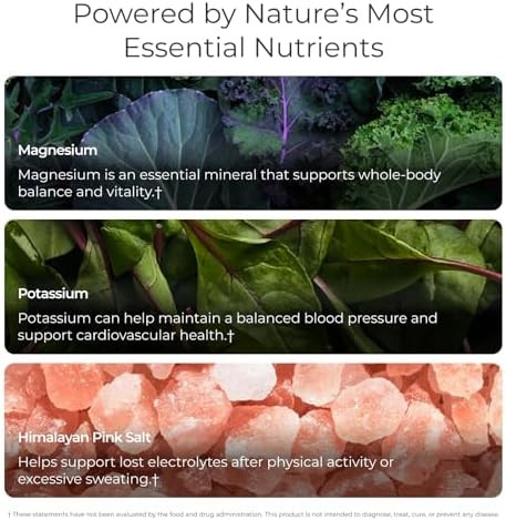 Livingood Daily Electrolytes Powder 30 Servings  Hydration Drink Mix Himalayan Pink Salt Magnesium Potassium Chloride Sodium  No Sugar Electrolyte Supplement