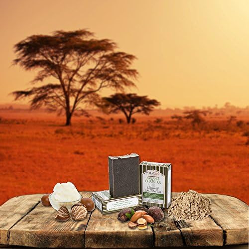 Shea Terra Organics Argan and  Ghassoul Shampoo and  Spa Ritual Soap  All-In One Hair and  Body Bar  All Skin Types