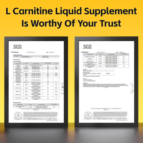 BAKAKOUL L Carnitine Supplement Liquid 3000 mg with BCAA Sports Supplements Help Support Energy Boosts Support Muscle Efficient Formula with Acetyl Rapid Absorption Sustained Energy, Watermelon Flavor