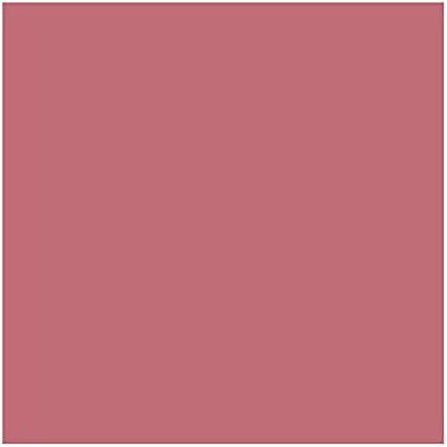 REVLON Ultra HD Vinyl Lip Polish, Liquid Lipstick, Birthday Suit, Mauve Nude Gloss