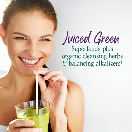 Garden of Life RAW Organic Perfect Food Alkalizer Detoxifier
